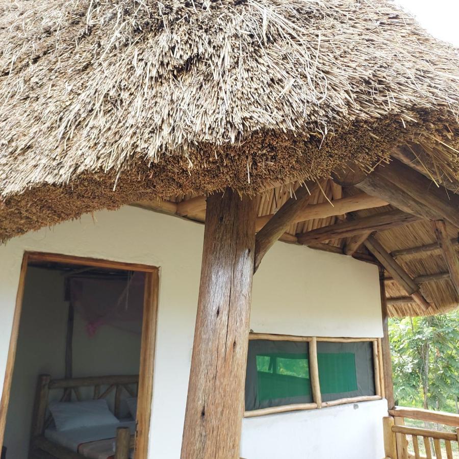 Songbird Safari Lodge & Campsite Katunguru Kültér fotó