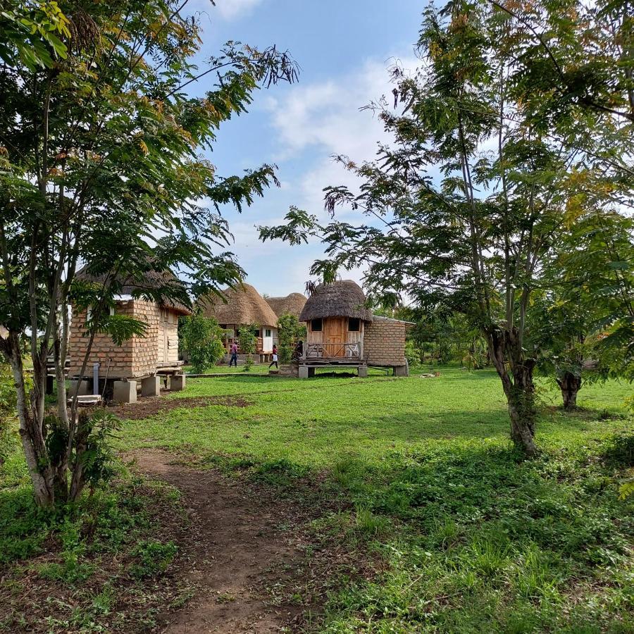 Songbird Safari Lodge & Campsite Katunguru Kültér fotó